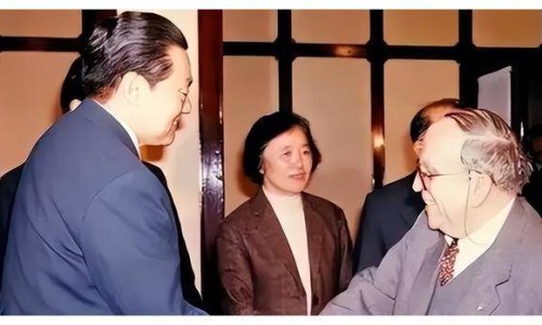 【宫炎康颗粒的功能主治】宫炎康功能主治 - 宫炎康颗粒主治与功效网