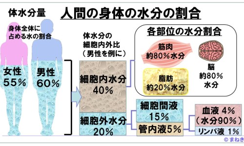 宫炎康颗粒价格表-【宫炎康颗粒的功能主治】宫炎康功能主治 - 宫炎康颗粒主治与功效网